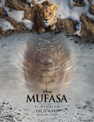 Mufasa_The_Lion_King_poster_usa