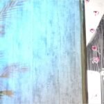 MFC-KarlaB-20251123-233801