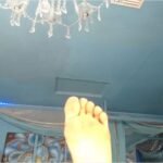 BC-adrianna fox-20251121-001602