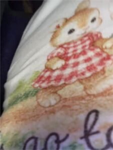 SC-SweetBunnyGF-20251121-001637