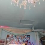 MFC-ADRIANA FOX-20251228-171713