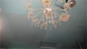 MFC-ADRIANA FOX-20251125-041917