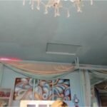 MFC-ADRIANA FOX-20251228-185716