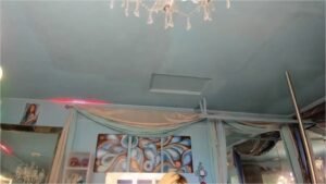 MFC-ADRIANA FOX-20251228-185716