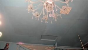 MFC-ADRIANA FOX-20251228-220354